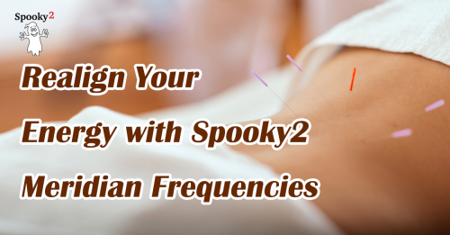 Realign Your Energy with Spooky2 Meridian Frequencies