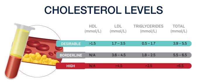 Cholesterol_v2