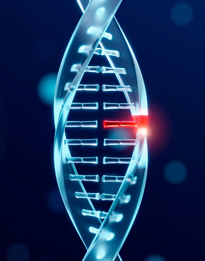 What Is a Peptide Preset