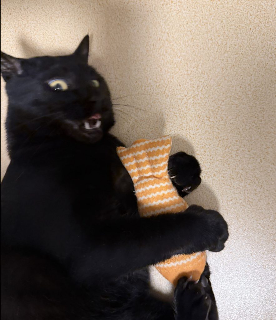 Guangming gezond en hersteld