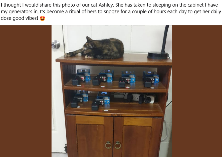 image5 image5